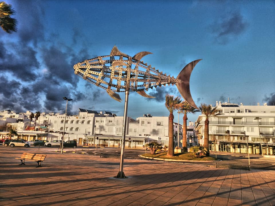 Conil Live. VIVE CONIL