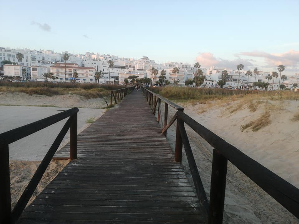 Conil Live. VIVE CONIL