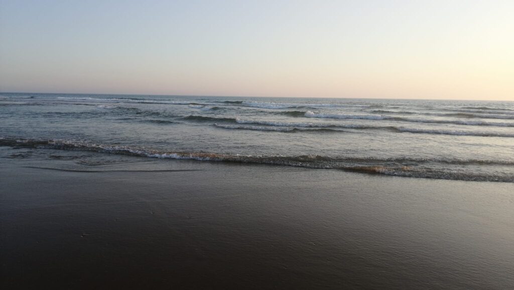 259372447_1543089506057212_6952563134530343437_n